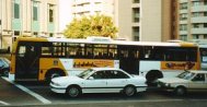 Australian bus