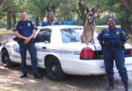 Savannah Police